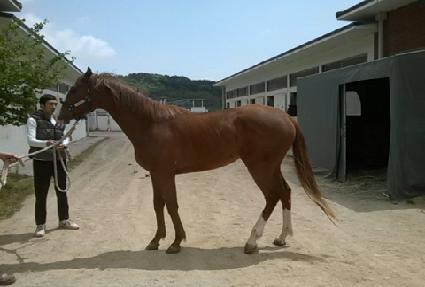 ���Ÿ�� ����