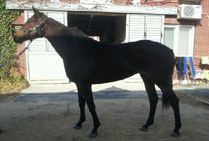 ũ���ϵ����� ����