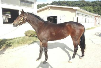 õ�������� ����