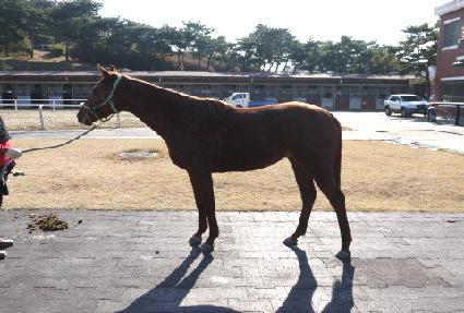 �ݺ��¾� ����