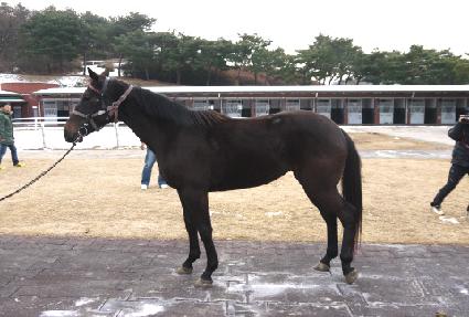 �ҳ��� ����