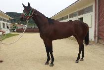 �������̽� (CHOCO CASE) ����