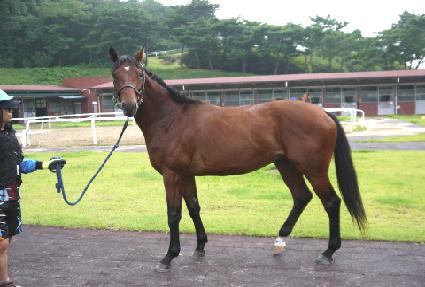 ������ ����