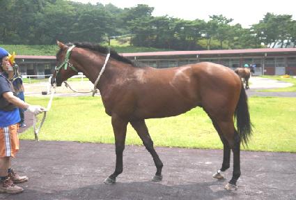 �󺻼��� ����