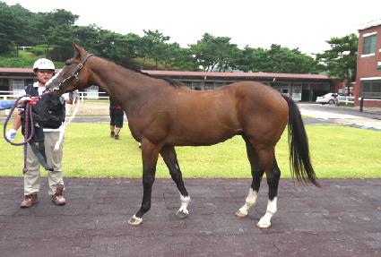 ��ŰŬ�ι� ����