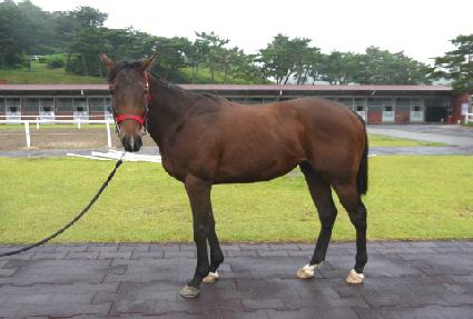 �ƿ�ǻó ����