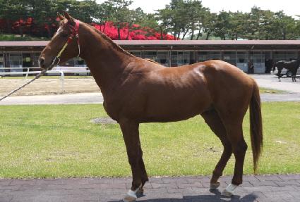 �ζ����� ����