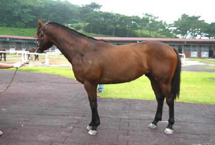 ������� ����