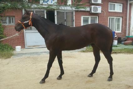 Ŭ���̹� ����