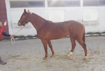 ������Ҿ� ����