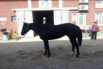 �������� ����