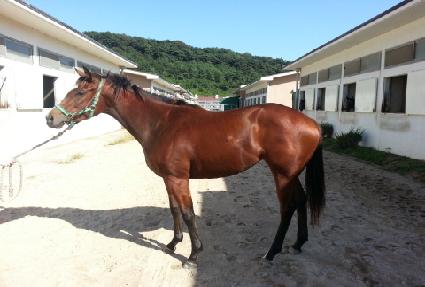 ��ټҳ�Ÿ ����