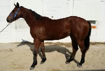 �������ũ (MUBI LIKE) ����