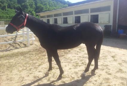 ����ȭ�� ����