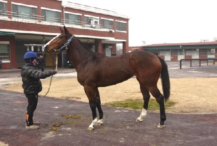 ����Ÿ�� ����