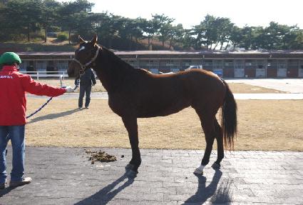 ����Ʈ���� ����