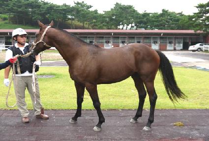 ���ǵ�ź ����