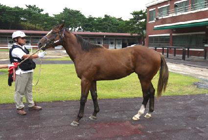 ���۰���� ����