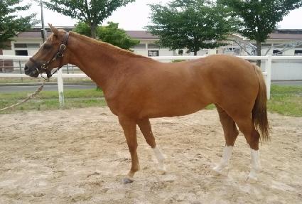 ȭ���Ѵܺ� ����