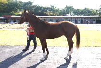 ������Ƽ (SUSEONG BT) ����