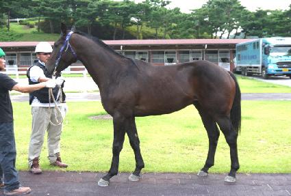 ���ǵ�ų�� ����