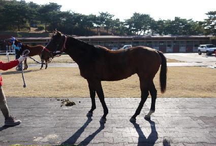 �»�õ�� ����