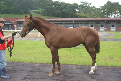 �����帮�� ����