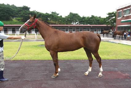 ����Ʈ�帮�� ����