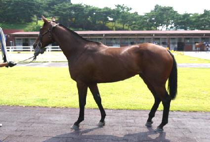 �ɽ����� ����