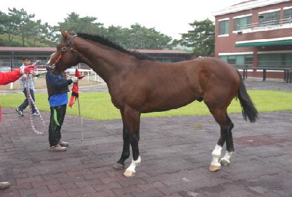 ����Ʈ ����