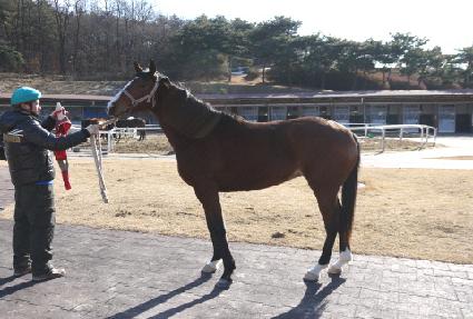 ������ ����