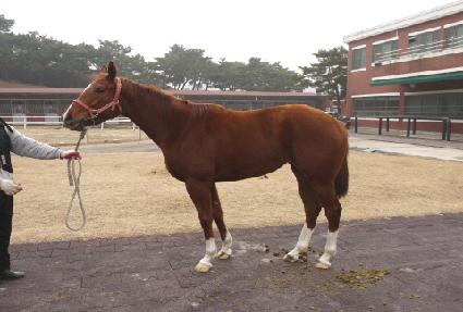 �����ͺ� ����