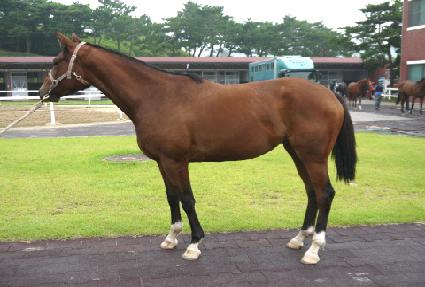 ���ҷ� ����