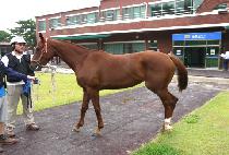 �÷������� (FLASH VISION) ����