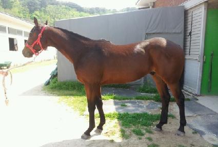 �ְ����� ����