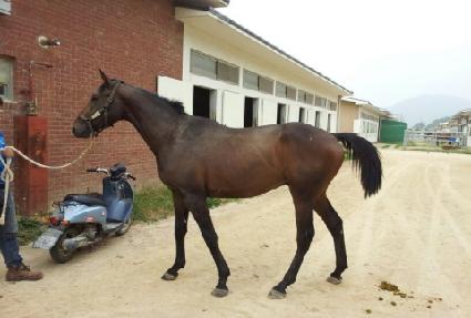 ������Ķ� ����