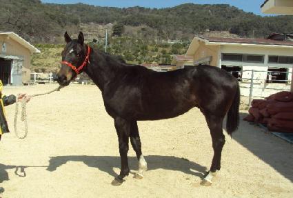 ���̺��� ����