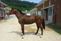 ��װ��� (MORNING GANGJA) ����