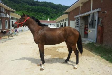 ��װ��� ����