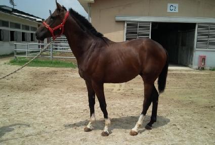 ��׽��ǵ� ����