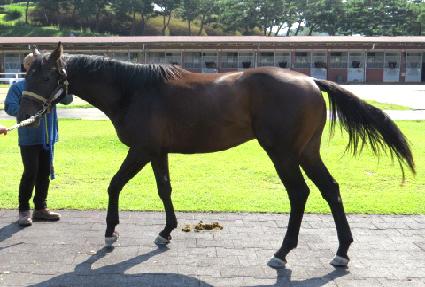 ���ڳ��̽� ����