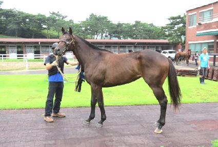 ����Ʈ ����