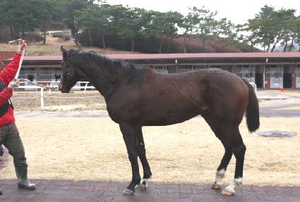 ���������� ����