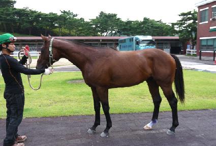 ���������� ����