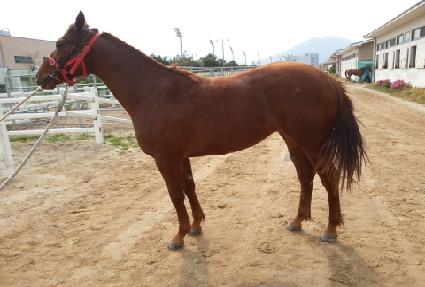 ��󺸶����� ����