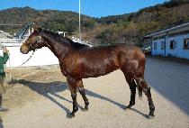 �����ϳ� (HAPPY HANA) ����