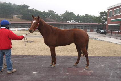 ���ϰ��� ����