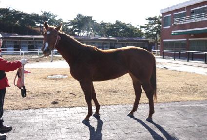 �߿��� ����