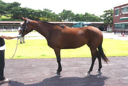 ����Ʒε� ����