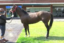 �ٶ����� (BARAM DONGJA) ����